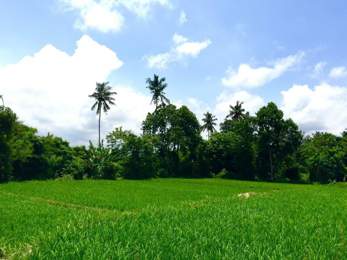 Villa Santai อูบุด ภายนอก รูปภาพ